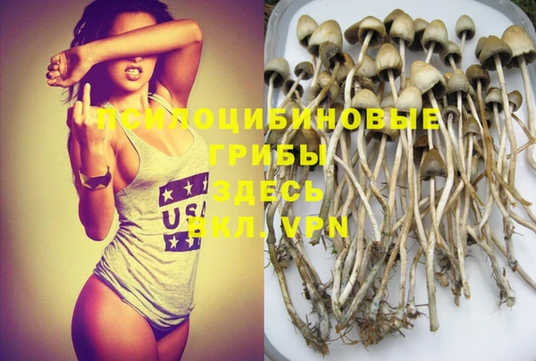 сатива Бугульма
