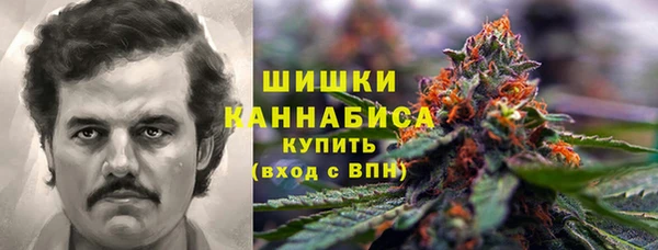 сатива Бугульма