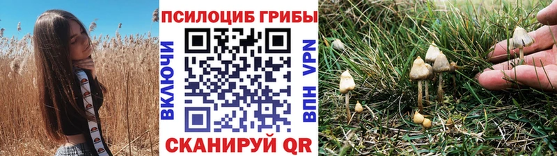 Псилоцибиновые грибы Psilocybine cubensis Качканар